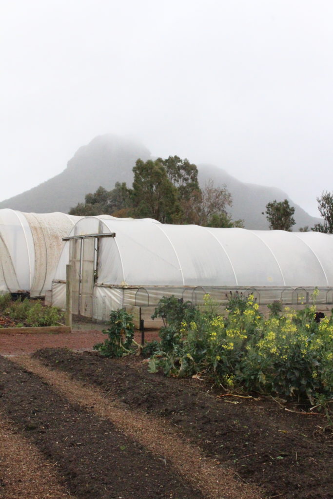 Royal Mail Hotel's kitchen garden with Mt Sturgeon as the backdrop, captured by Kate Eats