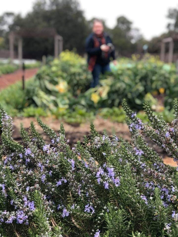 The Royal Mail Hotel is home to Australia’s largest kitchen garden, photo by Kate Eats