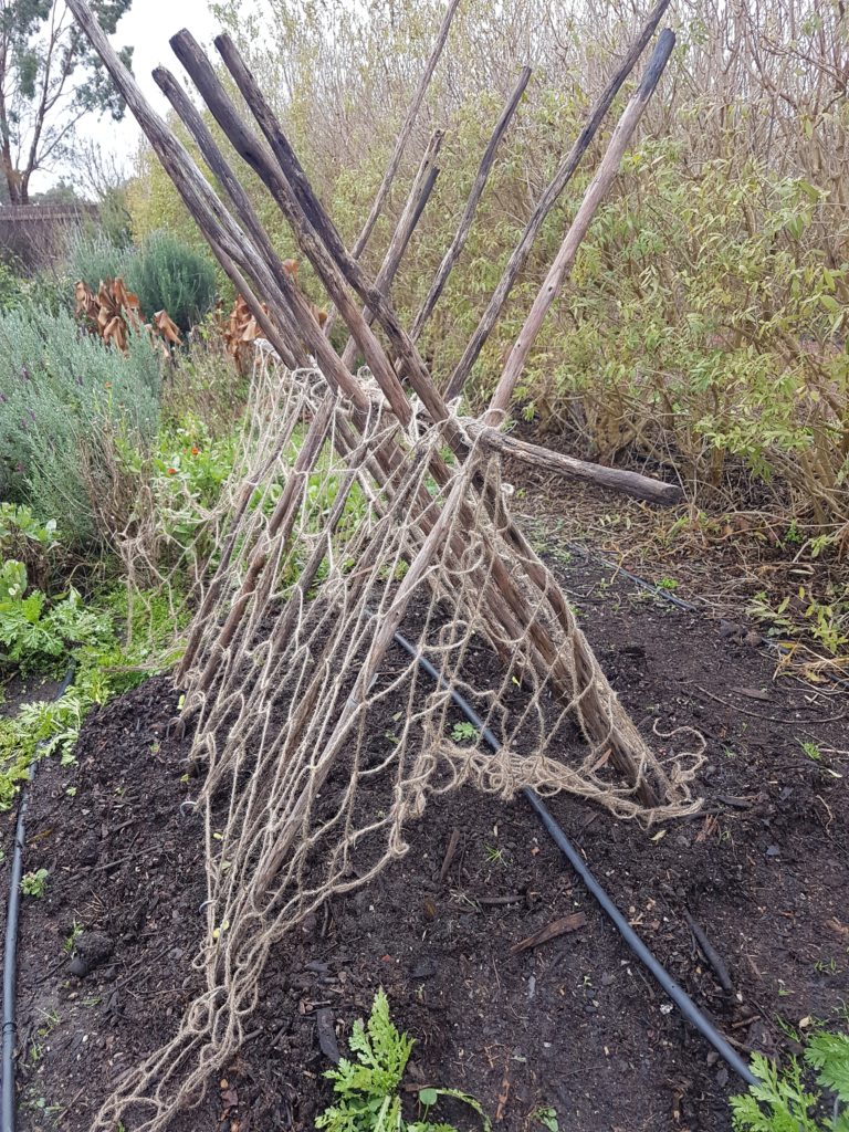Netting protecting plants in the Royal Mail Hotel kitchen garden by Kate Eats