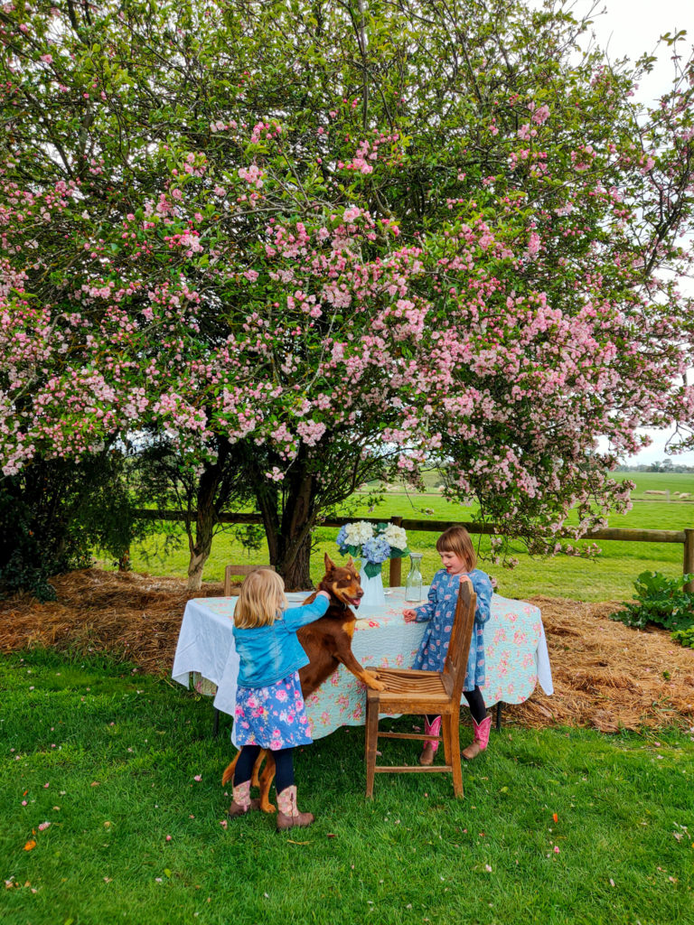 The girls, dog and blossom tree. Live the little things, photograph by Kate Eats