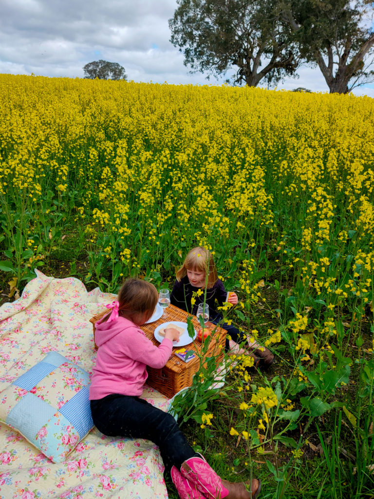 Lunch in the canola. Live the little things, photograph by Kate Eats