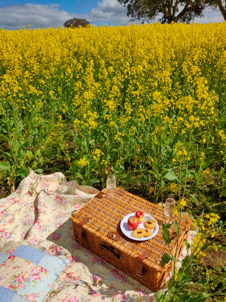 Picnic in the canola. Live the little things, photograph by Kate Eats